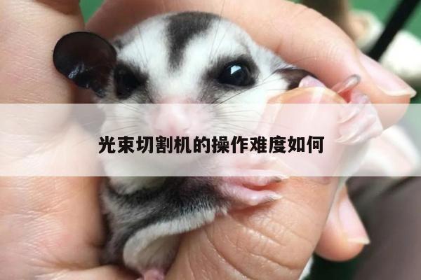 光束切割机的操作难度如何：爱游戏app