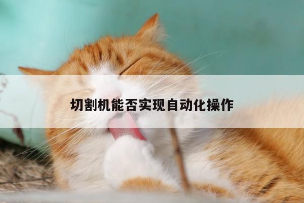 切割机能否实现自动化操作【ayx爱游戏】
