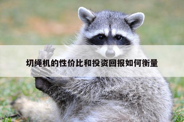 爱游戏平台：切绳机的性价比和投资回报如何衡量