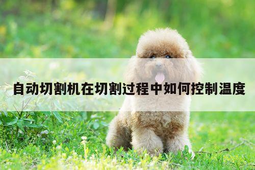 自动切割机在切割过程中如何控制温度【ayx爱游戏】