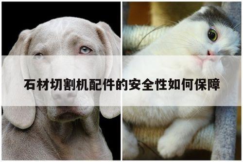 石材切割机配件的安全性如何保障_爱游戏app