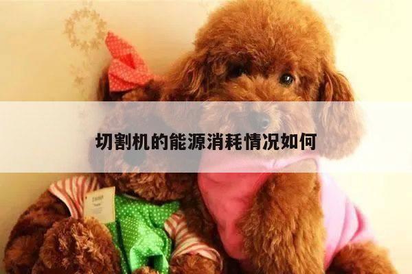 切割机的能源消耗情况如何【爱游戏平台】