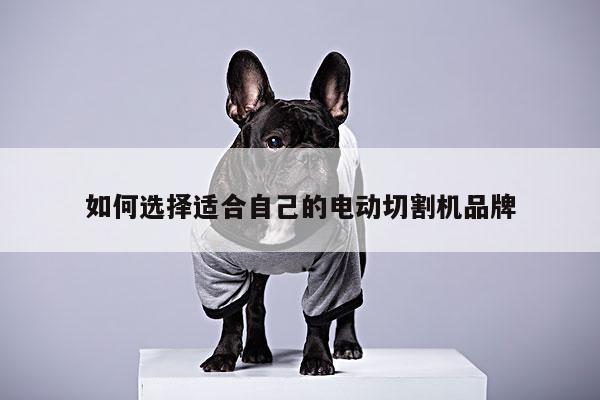 如何选择适合自己的电动切割机品牌_爱游戏(ayx)官方网站