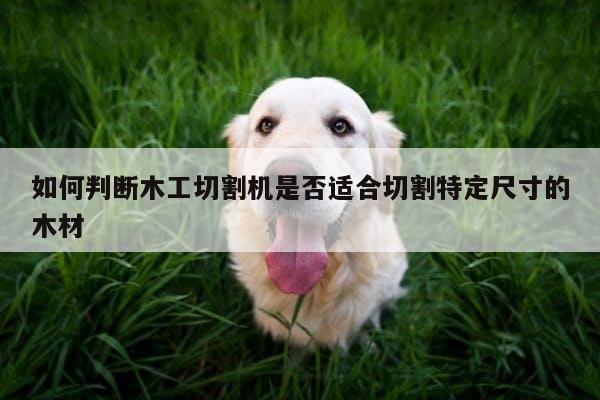 如何判断木工切割机是否适合切割特定尺寸的木材_爱游戏app