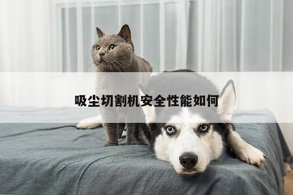 吸尘切割机安全性能如何【爱游戏app】