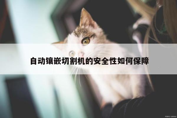 爱游戏app_自动镶嵌切割机的安全性如何保障