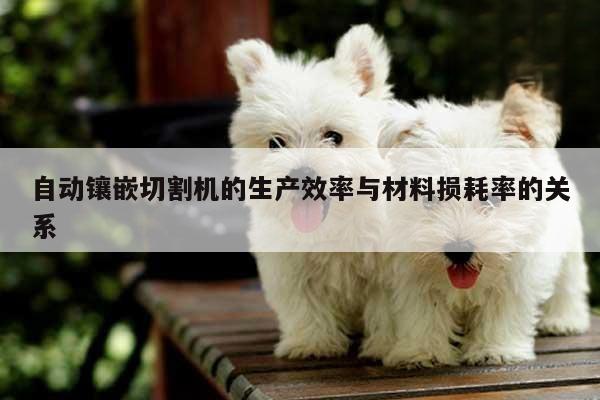 ayx爱游戏|自动镶嵌切割机的生产效率与材料损耗率的关系