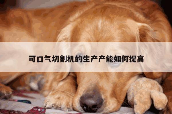 爱游戏app：可口气切割机的生产产能如何提高