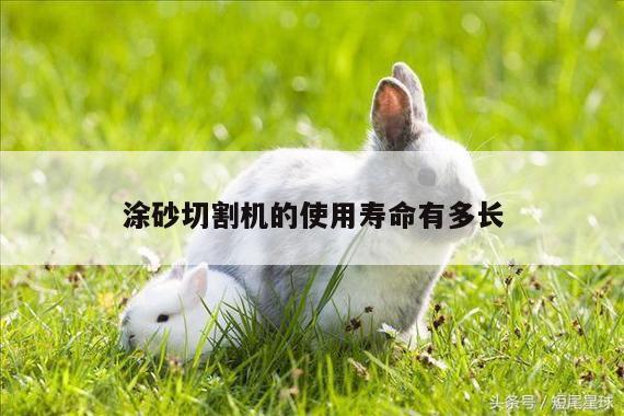 涂砂切割机的使用寿命有多长_ayx爱游戏