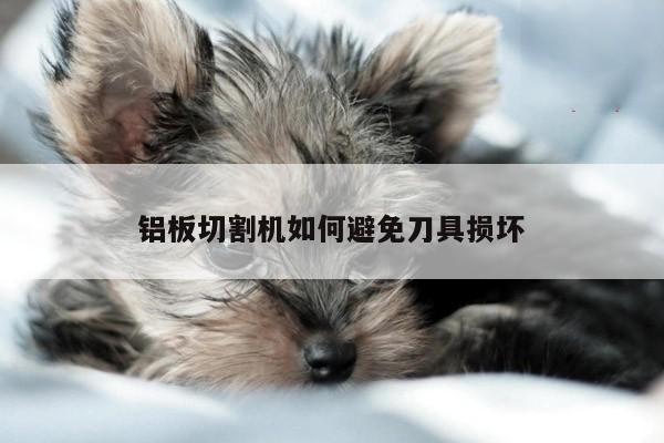 铝板切割机如何避免刀具损坏|爱游戏(ayx)官方网站