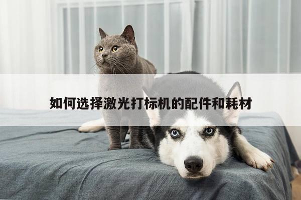如何选择激光打标机的配件和耗材_爱游戏(ayx)官方网站