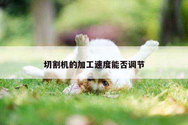 ayx爱游戏_切割机的加工速度能否调节