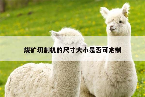 煤矿切割机的尺寸大小是否可定制_爱游戏平台
