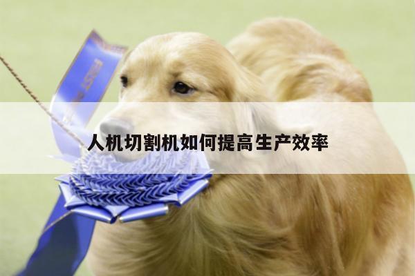人机切割机如何提高生产效率-爱游戏平台