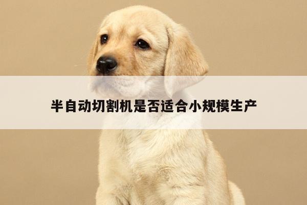 半自动切割机是否适合小规模生产_爱游戏app