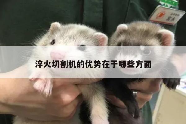 【爱游戏(ayx)官方网站】淬火切割机的优势在于哪些方面