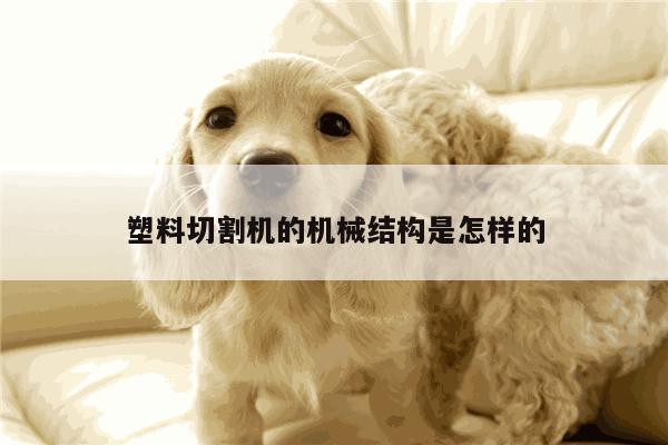 【ayx爱游戏】塑料切割机的机械结构是怎样的
