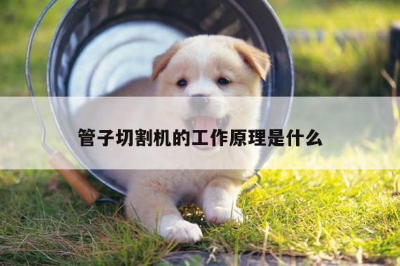 管子切割机的工作原理是什么_爱游戏app