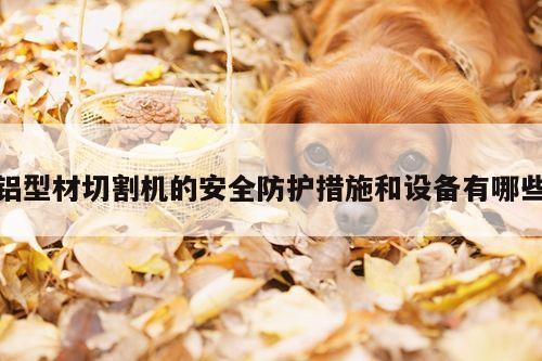铝型材切割机的安全防护措施和设备有哪些|爱游戏平台