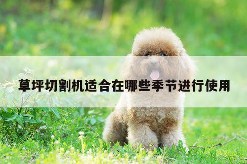 草坪切割机适合在哪些季节进行使用_爱游戏平台