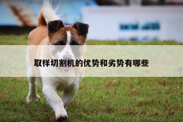 取样切割机的优势和劣势有哪些|爱游戏(ayx)官方网站