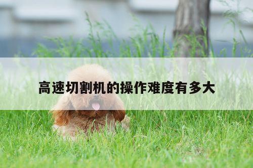 高速切割机的操作难度有多大【爱游戏app】