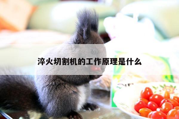 淬火切割机的工作原理是什么_ayx爱游戏