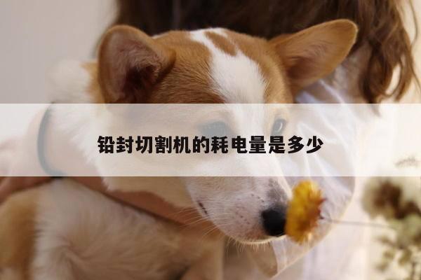 铅封切割机的耗电量是多少-爱游戏平台