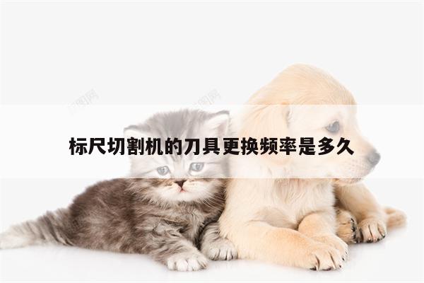 【爱游戏(ayx)官方网站】标尺切割机的刀具更换频率是多久