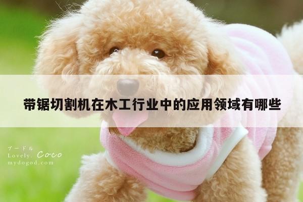 带锯切割机在木工行业中的应用领域有哪些：爱游戏平台