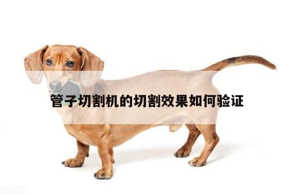 ayx爱游戏：管子切割机的切割效果如何验证