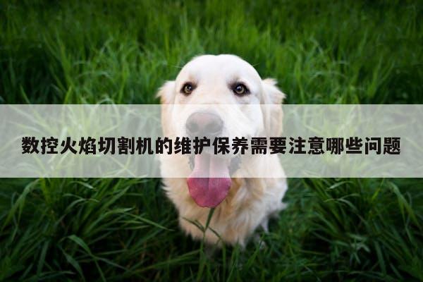 数控火焰切割机的维护保养需要注意哪些问题|爱游戏平台