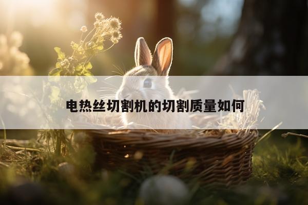爱游戏app：电热丝切割机的切割质量如何