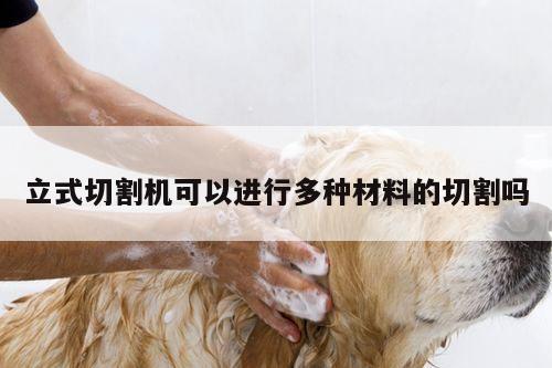 立式切割机可以进行多种材料的切割吗-爱游戏平台