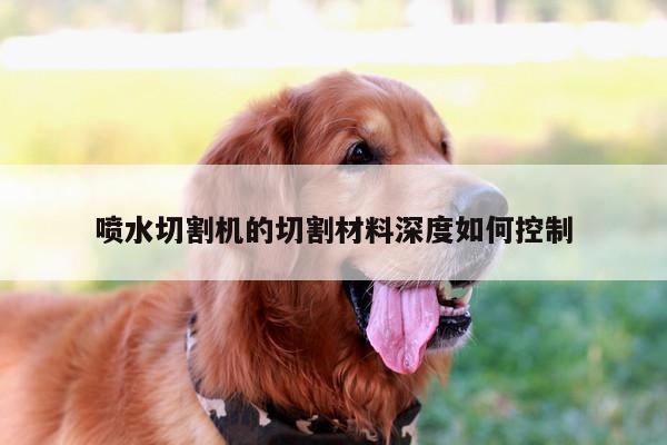 喷水切割机的切割材料深度如何控制_ayx爱游戏