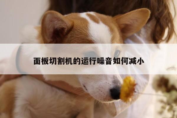 面板切割机的运行噪音如何减小-爱游戏平台