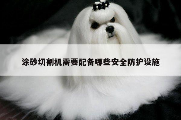 涂砂切割机需要配备哪些安全防护设施：爱游戏app