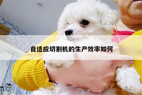 爱游戏平台：自适应切割机的生产效率如何