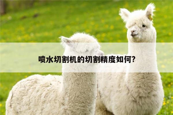喷水切割机的切割精度如何?：爱游戏app