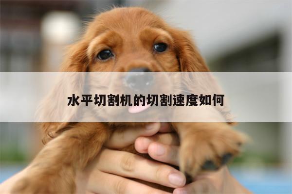 水平切割机的切割速度如何-爱游戏app