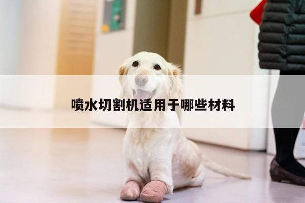 爱游戏(ayx)官方网站_喷水切割机适用于哪些材料