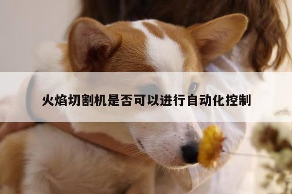 ayx爱游戏：火焰切割机是否可以进行自动化控制