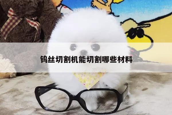 钨丝切割机能切割哪些材料|爱游戏(ayx)官方网站