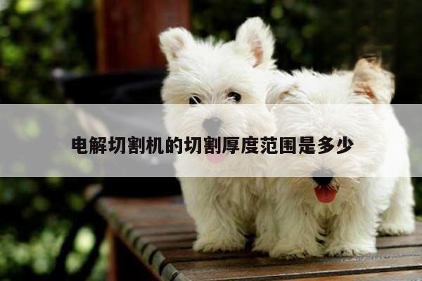 爱游戏平台：电解切割机的切割厚度范围是多少
