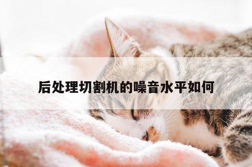 爱游戏平台-后处理切割机的噪音水平如何
