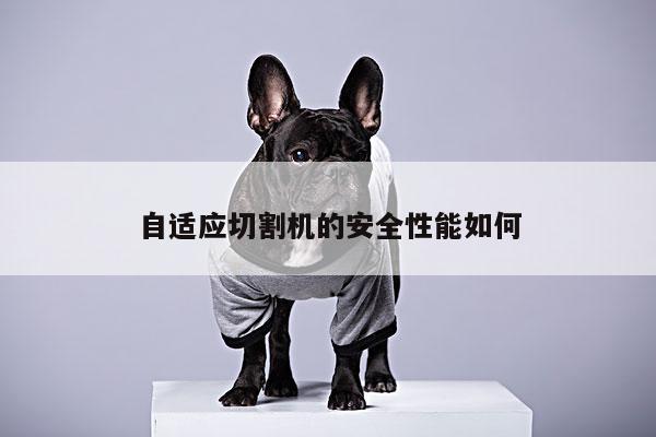 爱游戏(ayx)官方网站：自适应切割机的安全性能如何