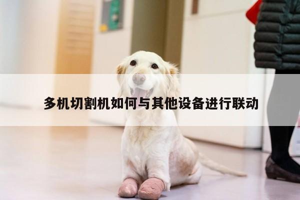 多机切割机如何与其他设备进行联动_爱游戏(ayx)官方网站