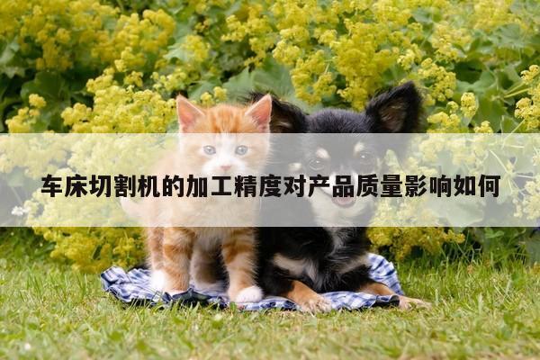 车床切割机的加工精度对产品质量影响如何【爱游戏平台】