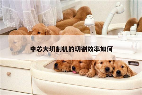 爱游戏(ayx)官方网站_中芯大切割机的切割效率如何