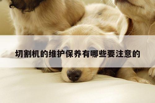 【爱游戏(ayx)官方网站】切割机的维护保养有哪些要注意的